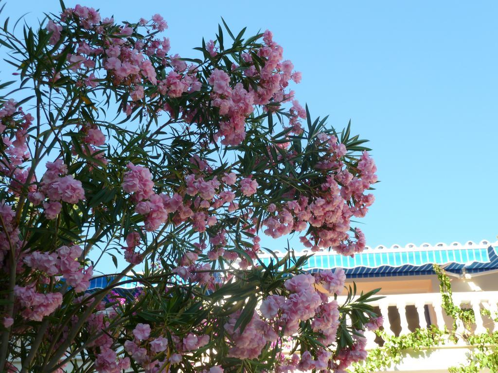 Villa Maxine Marbella Rom bilde